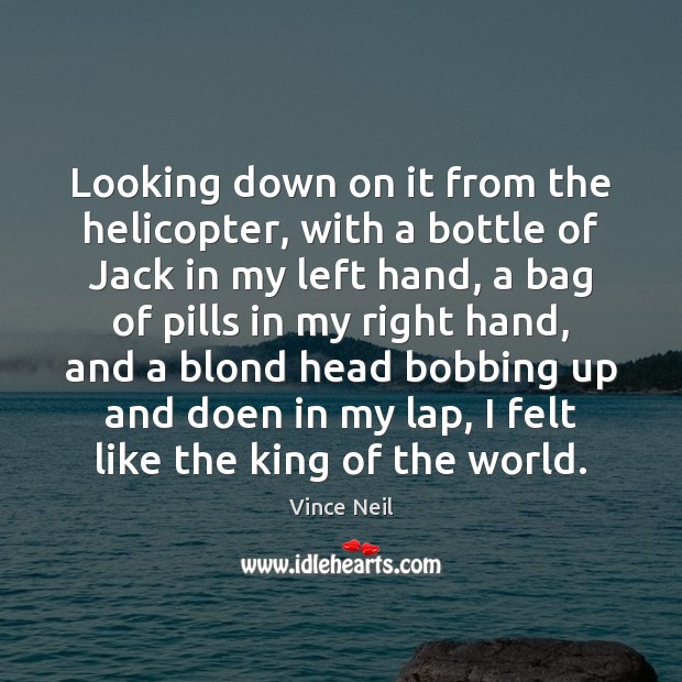 Looking down on it from the helicopter, with a bottle of Jack Vince Neil Picture Quote