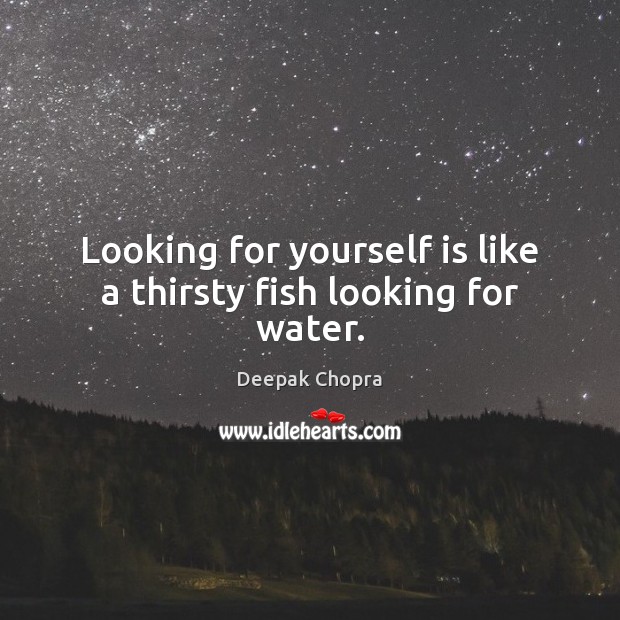 Looking for yourself is like a thirsty fish looking for water. Deepak Chopra Picture Quote