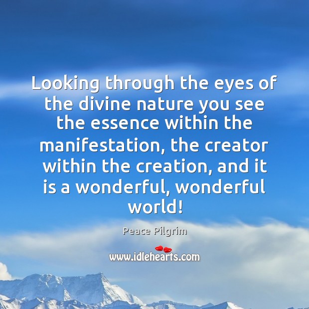 Looking through the eyes of the divine nature you see the essence Peace Pilgrim Picture Quote