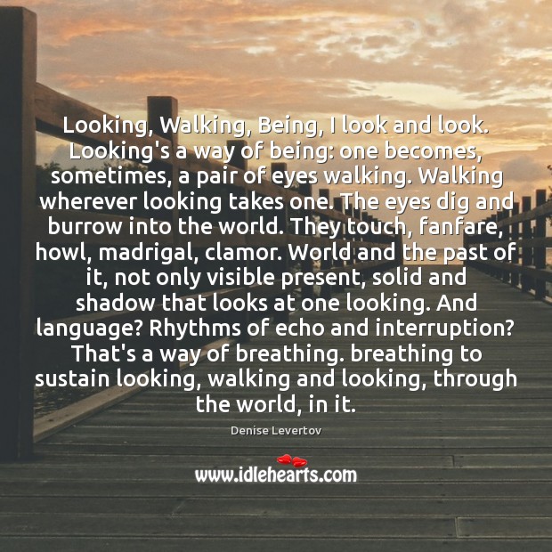 Looking, Walking, Being, I look and look. Looking’s a way of being: Denise Levertov Picture Quote