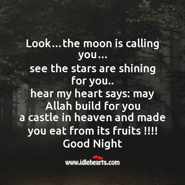 Look…the moon is calling you… Good Night Quotes Image