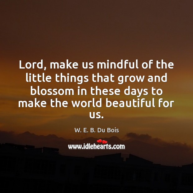 Lord, make us mindful of the little things that grow and blossom W. E. B. Du Bois Picture Quote