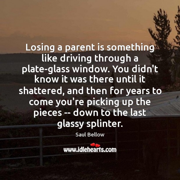 Losing a parent is something like driving through a plate-glass window. You Saul Bellow Picture Quote