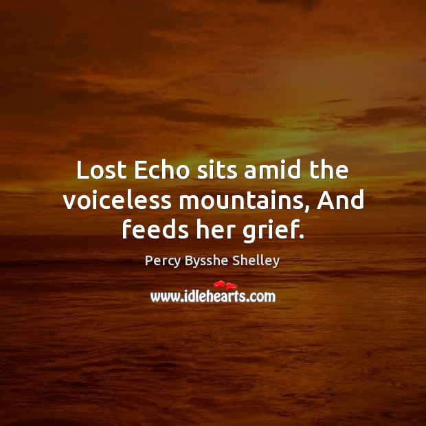 Lost Echo sits amid the voiceless mountains, And feeds her grief. Image