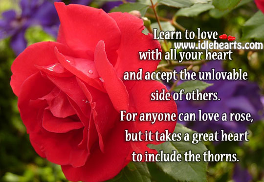 Anyone can love a rose, but it takes a great heart to include the thorns. Image