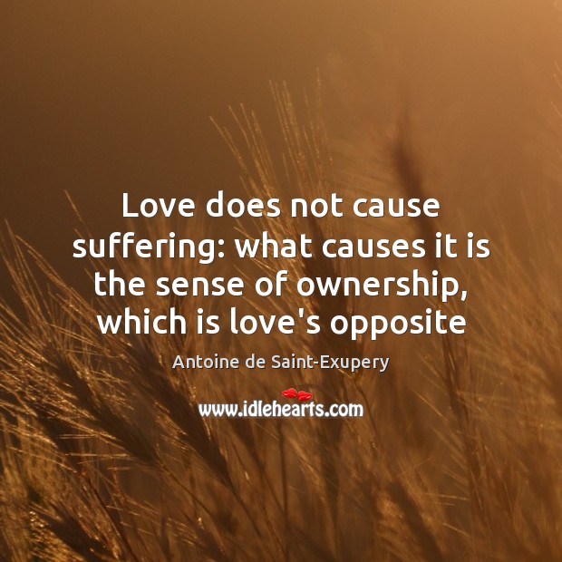 Love does not cause suffering: what causes it is the sense of Antoine de Saint-Exupery Picture Quote
