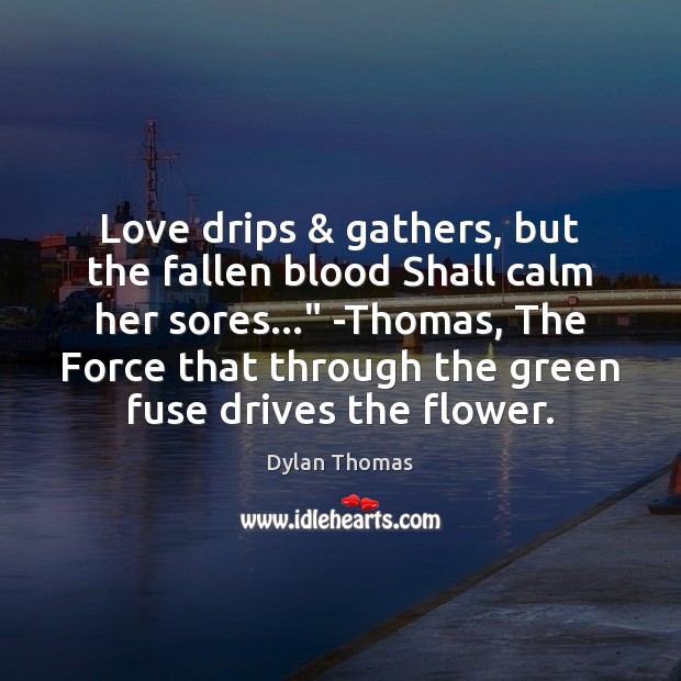 Love drips & gathers, but the fallen blood Shall calm her sores…” -Thomas, Dylan Thomas Picture Quote