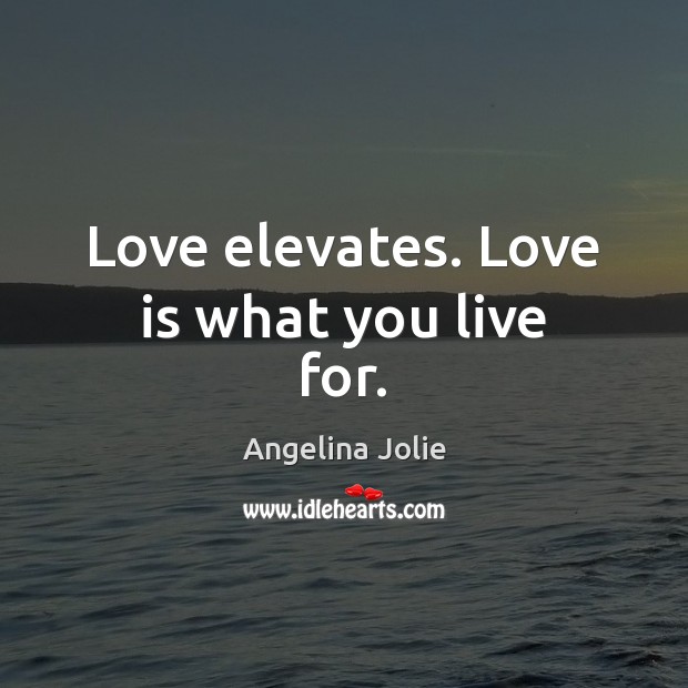 Love elevates. Love is what you live for. Angelina Jolie Picture Quote