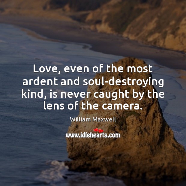 Love, even of the most ardent and soul-destroying kind, is never caught William Maxwell Picture Quote