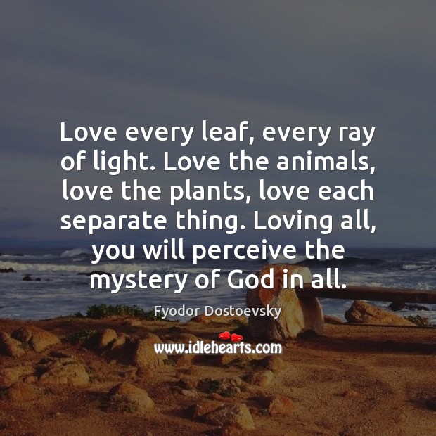 Love every leaf, every ray of light. Love the animals, love the Fyodor Dostoevsky Picture Quote
