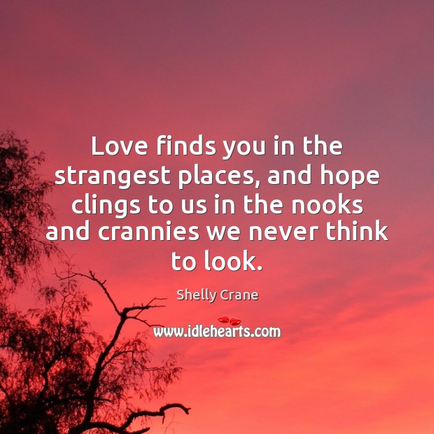 Love finds you in the strangest places, and hope clings to us Shelly Crane Picture Quote