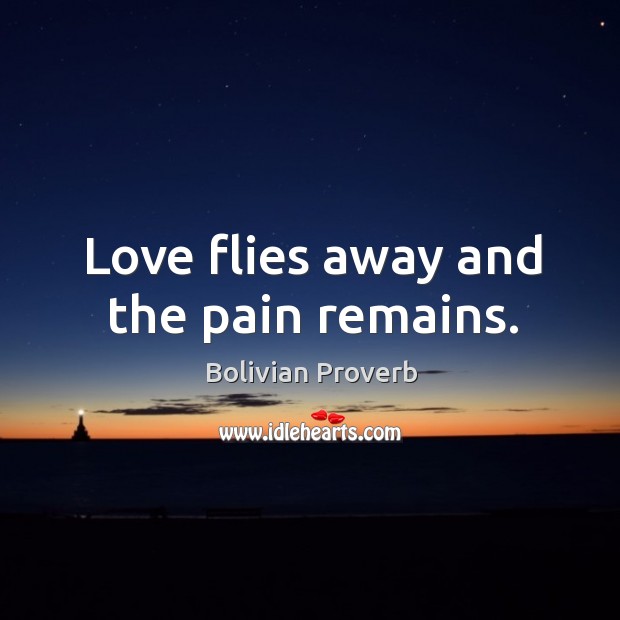 Love flies away and the pain remains. Bolivian Proverbs Image