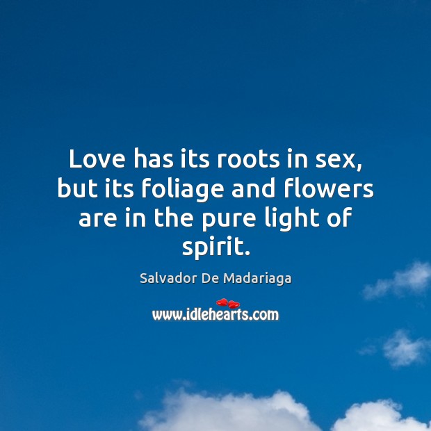 Love has its roots in sex, but its foliage and flowers are in the pure light of spirit. Salvador De Madariaga Picture Quote