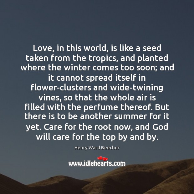 Love, in this world, is like a seed taken from the tropics, 