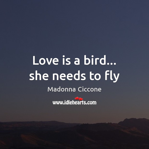 Love is a bird… she needs to fly Love Is Quotes Image