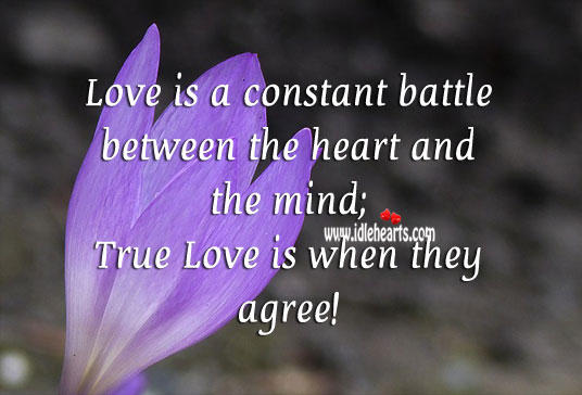 True love is when the heart and the mind agree! Love Is Quotes Image
