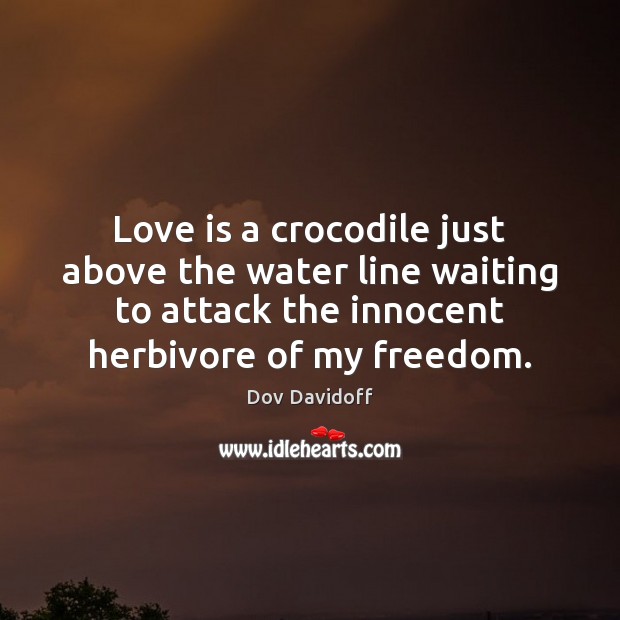 Love is a crocodile just above the water line waiting to attack Dov Davidoff Picture Quote