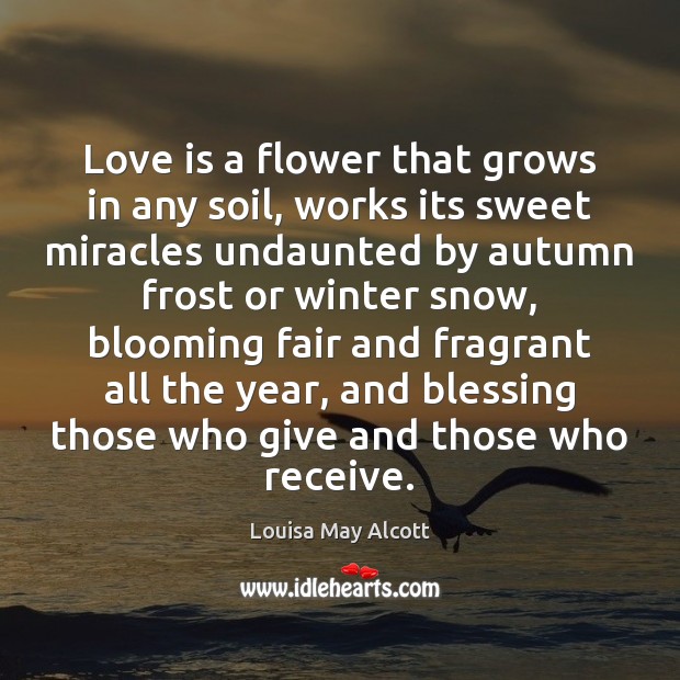 Love is a flower that grows in any soil, works its sweet Louisa May Alcott Picture Quote