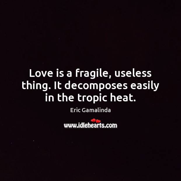 Love is a fragile, useless thing. It decomposes easily in the tropic heat. Eric Gamalinda Picture Quote