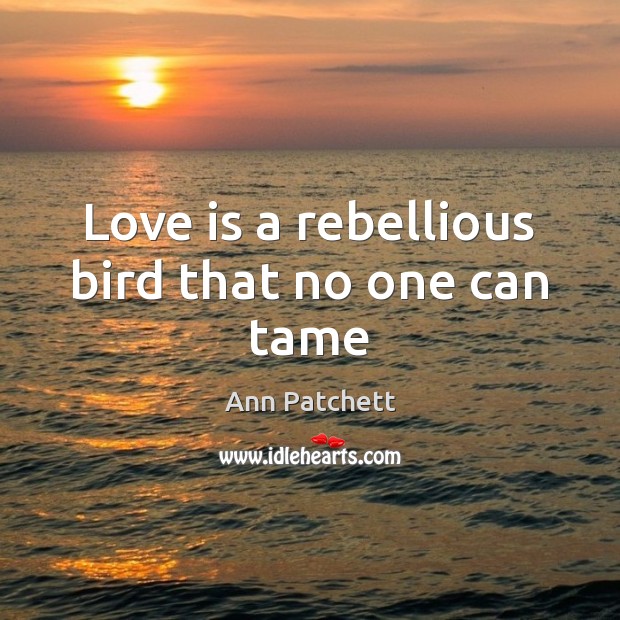 Love is a rebellious bird that no one can tame Ann Patchett Picture Quote