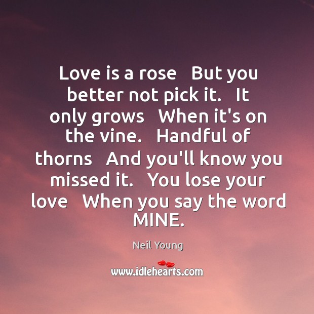 Love is a rose   But you better not pick it.   It only Neil Young Picture Quote