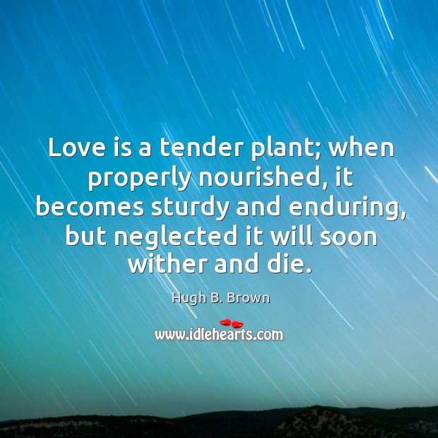 Love is a tender plant; when properly nourished, it becomes sturdy and Image
