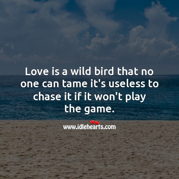 Love is a wild bird Love Messages Image