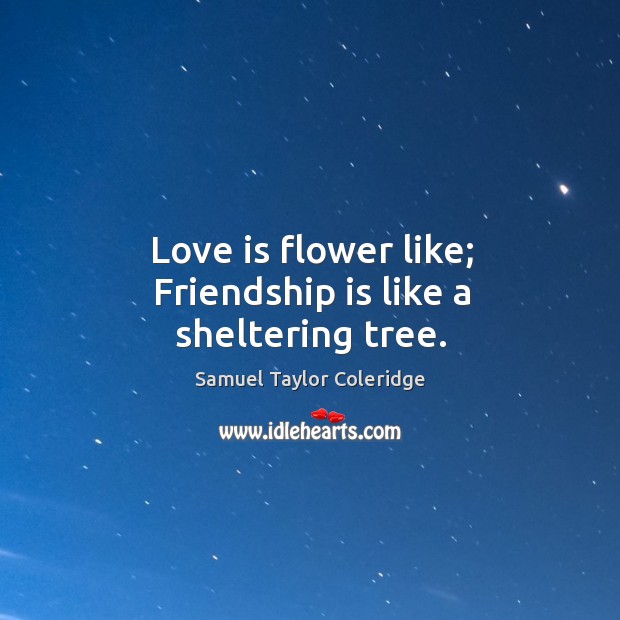 Love is flower like; friendship is like a sheltering tree. Samuel Taylor Coleridge Picture Quote