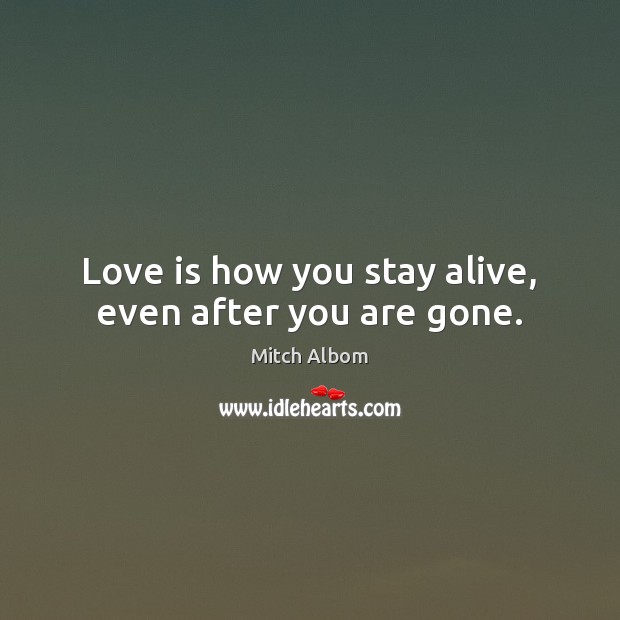 Love is how you stay alive, even after you are gone. Mitch Albom Picture Quote