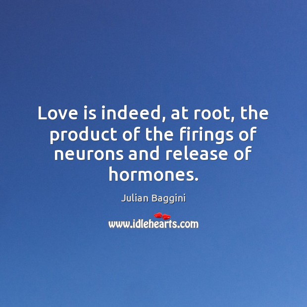 Love is indeed, at root, the product of the firings of neurons and release of hormones. Julian Baggini Picture Quote