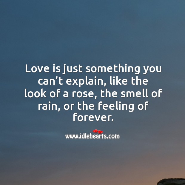 Love Is Just Something You Can T Explain Like The Look Of A Rose The Smell Of Rain Or The Feeling Of Forever Idlehearts