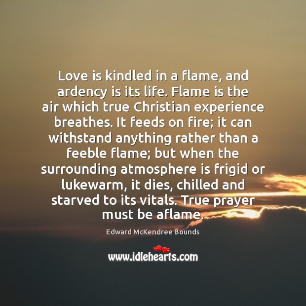 Love is kindled in a flame, and ardency is its life. Flame Love Is Quotes Image
