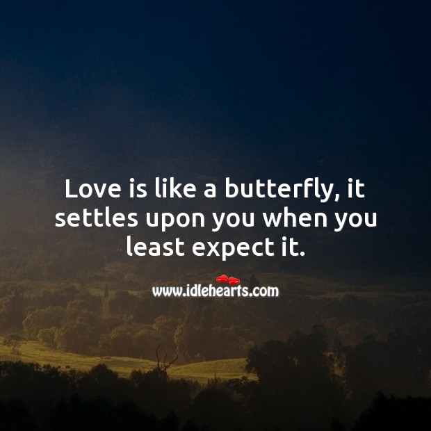 Love is like a butterfly, it settles upon you when you least expect it. Expect Quotes Image