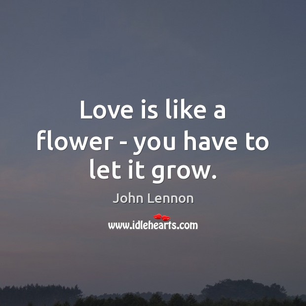 Love is like a flower – you have to let it grow. John Lennon Picture Quote