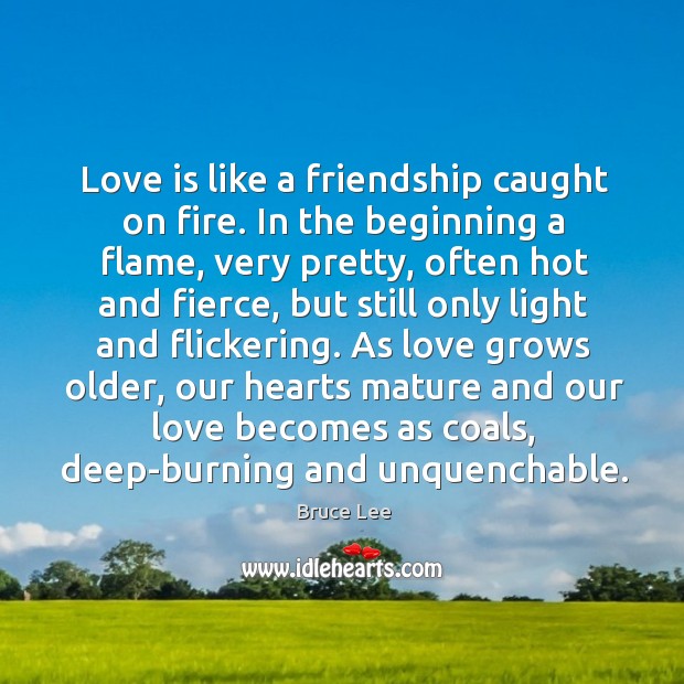 Love is like a friendship caught on fire. In the beginning a flame, very pretty, often hot Bruce Lee Picture Quote