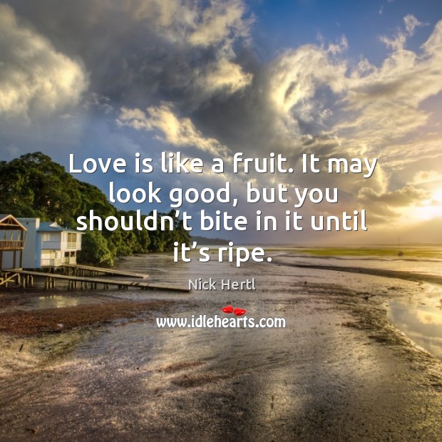 Love is like a fruit. It may look good, but you shouldn’t bite in it until it’s ripe. Nick Hertl Picture Quote