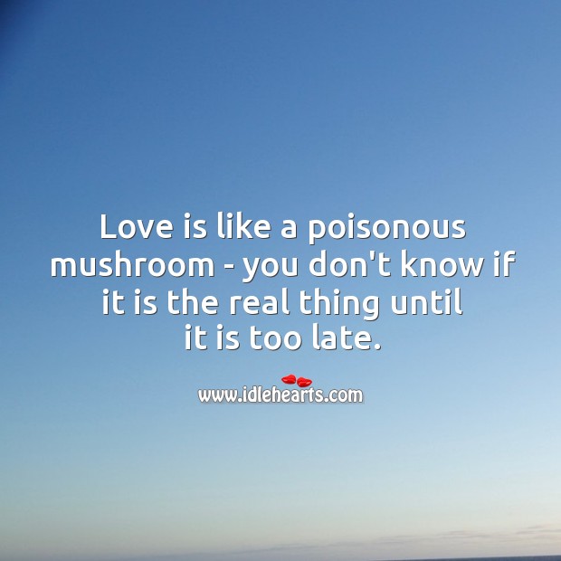 Love is like a poisonous mushroom. Love Is Quotes Image