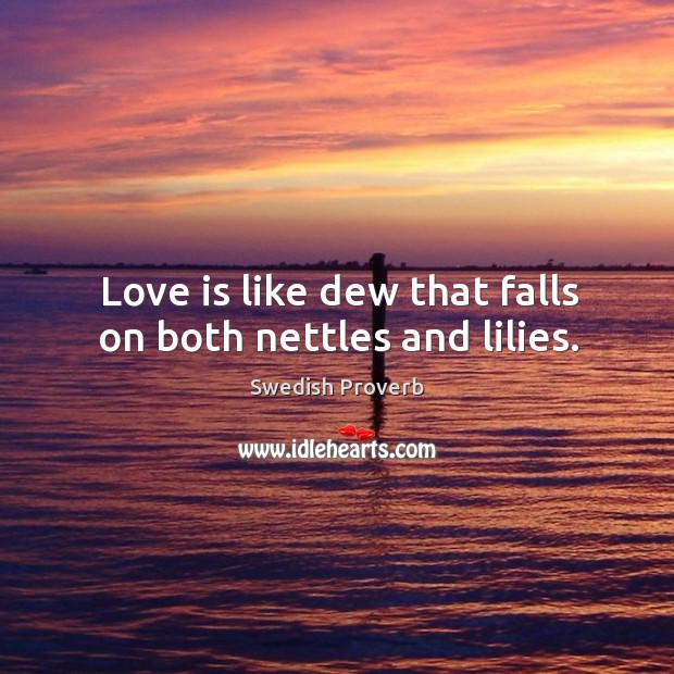 Love is like dew that falls on both nettles and lilies. Image