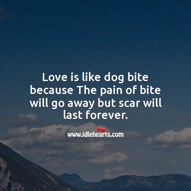 Love is like dog bite because the pain of bite will go away but scar will last forever. Image