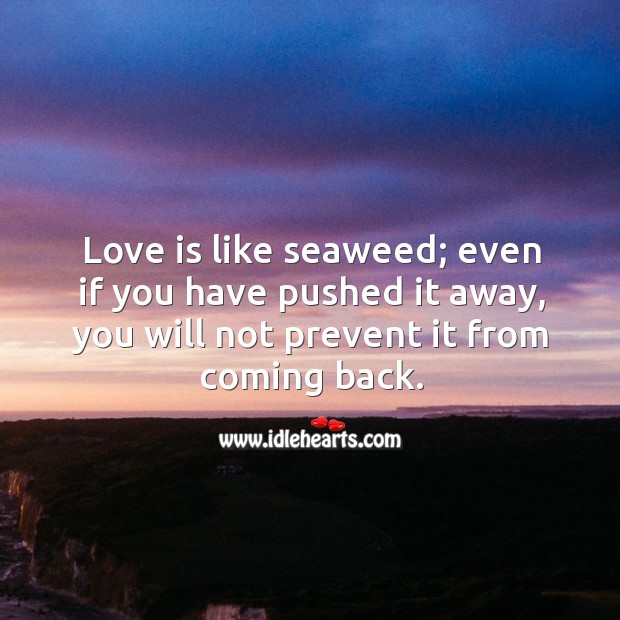 Love is like seaweed; even if you have pushed it away, you will not prevent it from coming back. Love Is Quotes Image