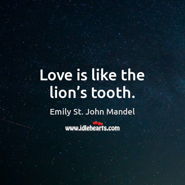 Love is like the lion’s tooth. Emily St. John Mandel Picture Quote