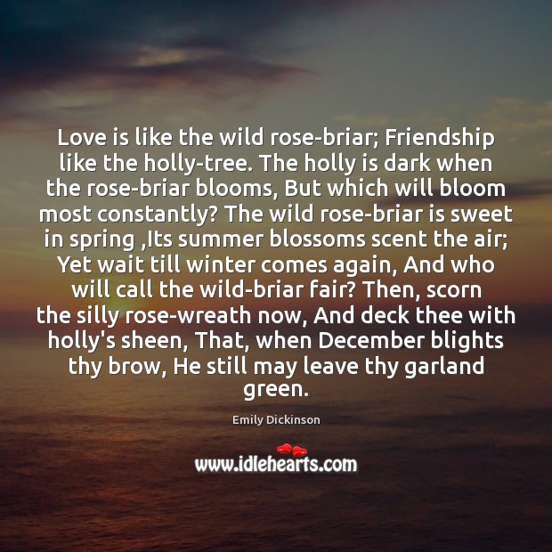 Love is like the wild rose-briar; Friendship like the holly-tree. The holly Emily Dickinson Picture Quote