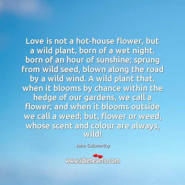 Love is not a hot-house flower, but a wild plant, born of Love Is Quotes Image