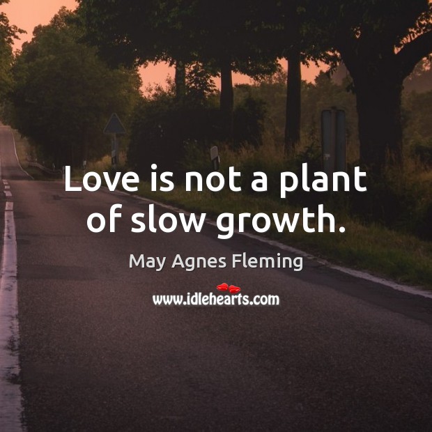 Love is not a plant of slow growth. May Agnes Fleming Picture Quote
