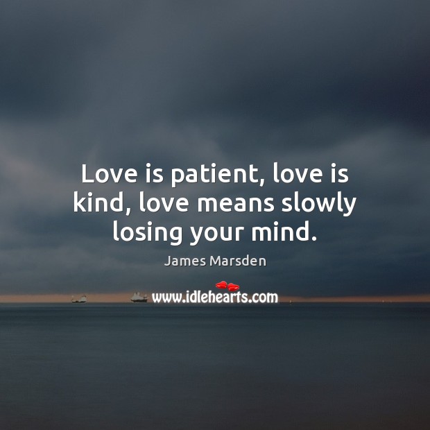 Love is patient, love is kind, love means slowly losing your mind. James Marsden Picture Quote