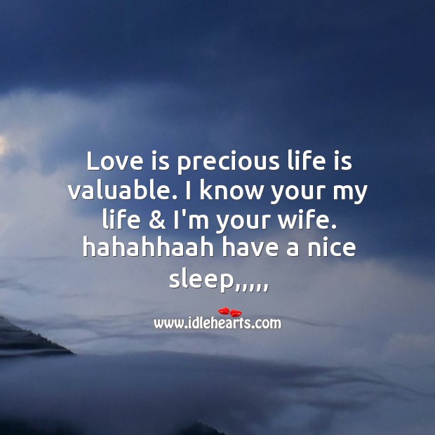 Love is precious life is valuable. Good Night Quotes Image