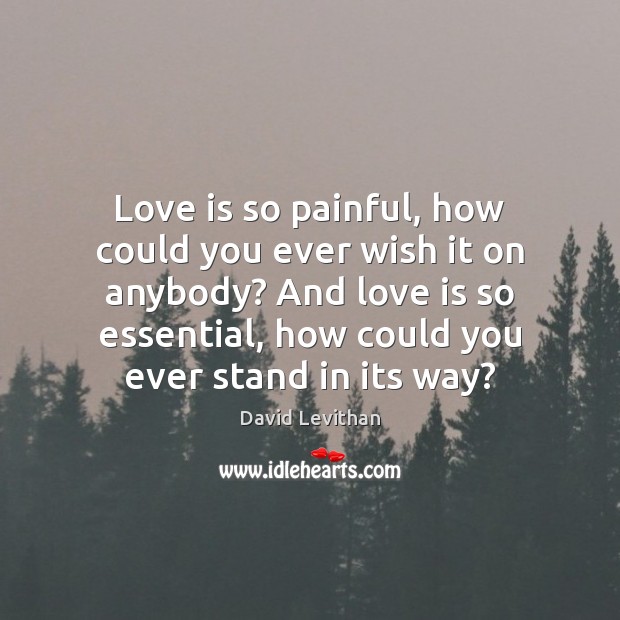 Love is so painful, how could you ever wish it on anybody? David Levithan Picture Quote