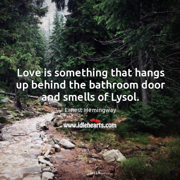Love is something that hangs up behind the bathroom door and smells of Lysol. Love Is Quotes Image