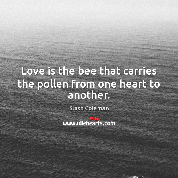 Love is the bee that carries the pollen from one heart to another. Slash Coleman Picture Quote
