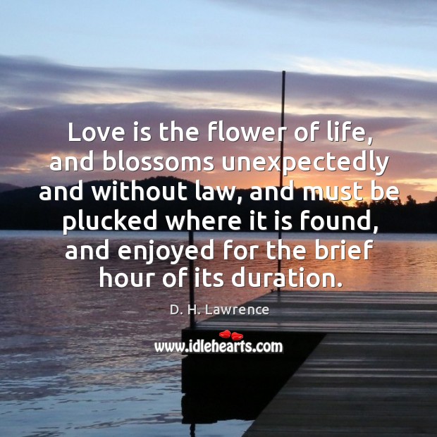 Love is the flower of life, and blossoms unexpectedly and without law D. H. Lawrence Picture Quote